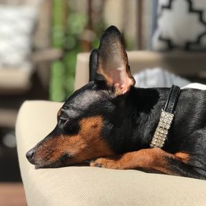 Meet your Posher, Ariel